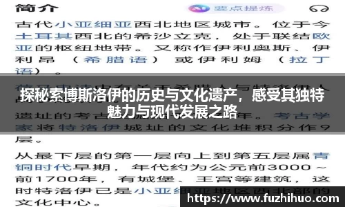 探秘索博斯洛伊的历史与文化遗产，感受其独特魅力与现代发展之路