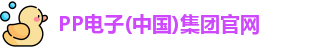 PP电子